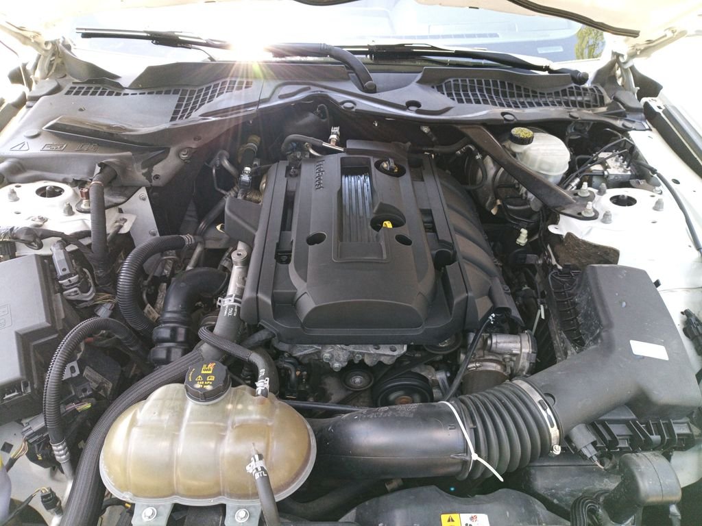 Used 2018 White Ford EcoBoost Premium image 20