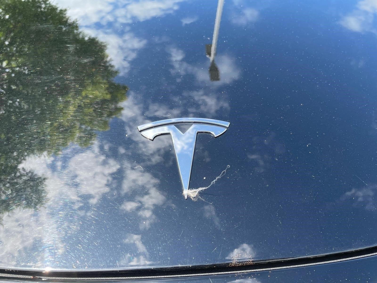 Used 2023  Tesla  image 8