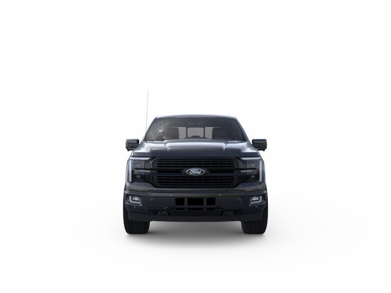 New 2025 Agate Black Metallic Ford Platinum® image 26