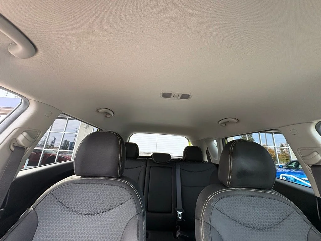 Used 2014 Green Kia Plus image 28