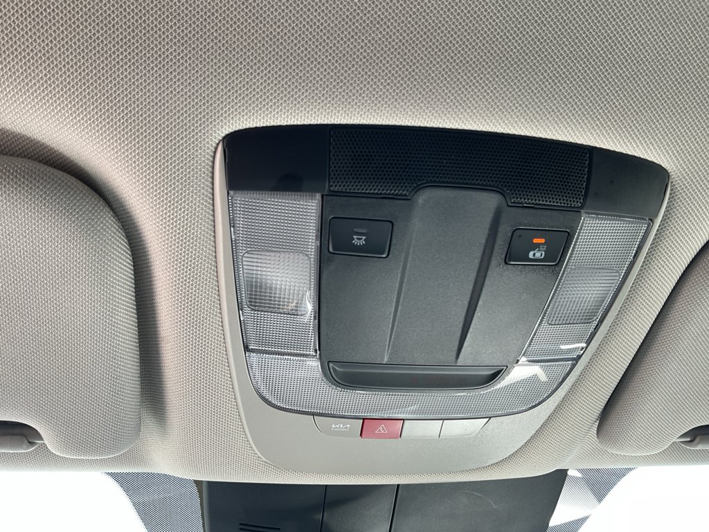 Used 2025 Panthera Metal Kia LX image 31