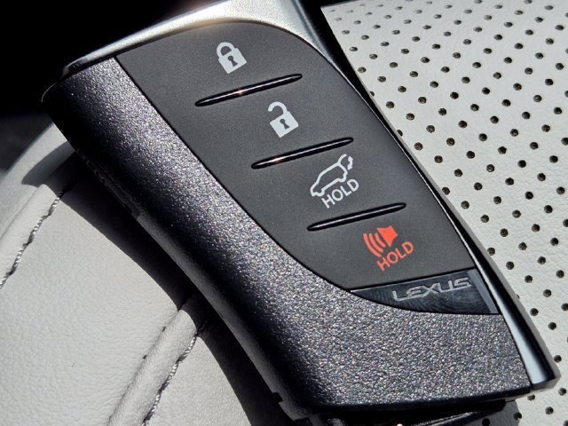New 2026 Iridium Lexus PREMIUM image 40