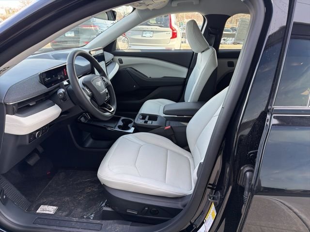New 2026 Shadow Black Ford Premium image 11