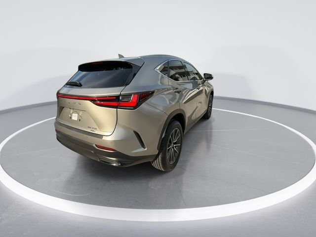 2026 Lexus NX 350 - Photo 8