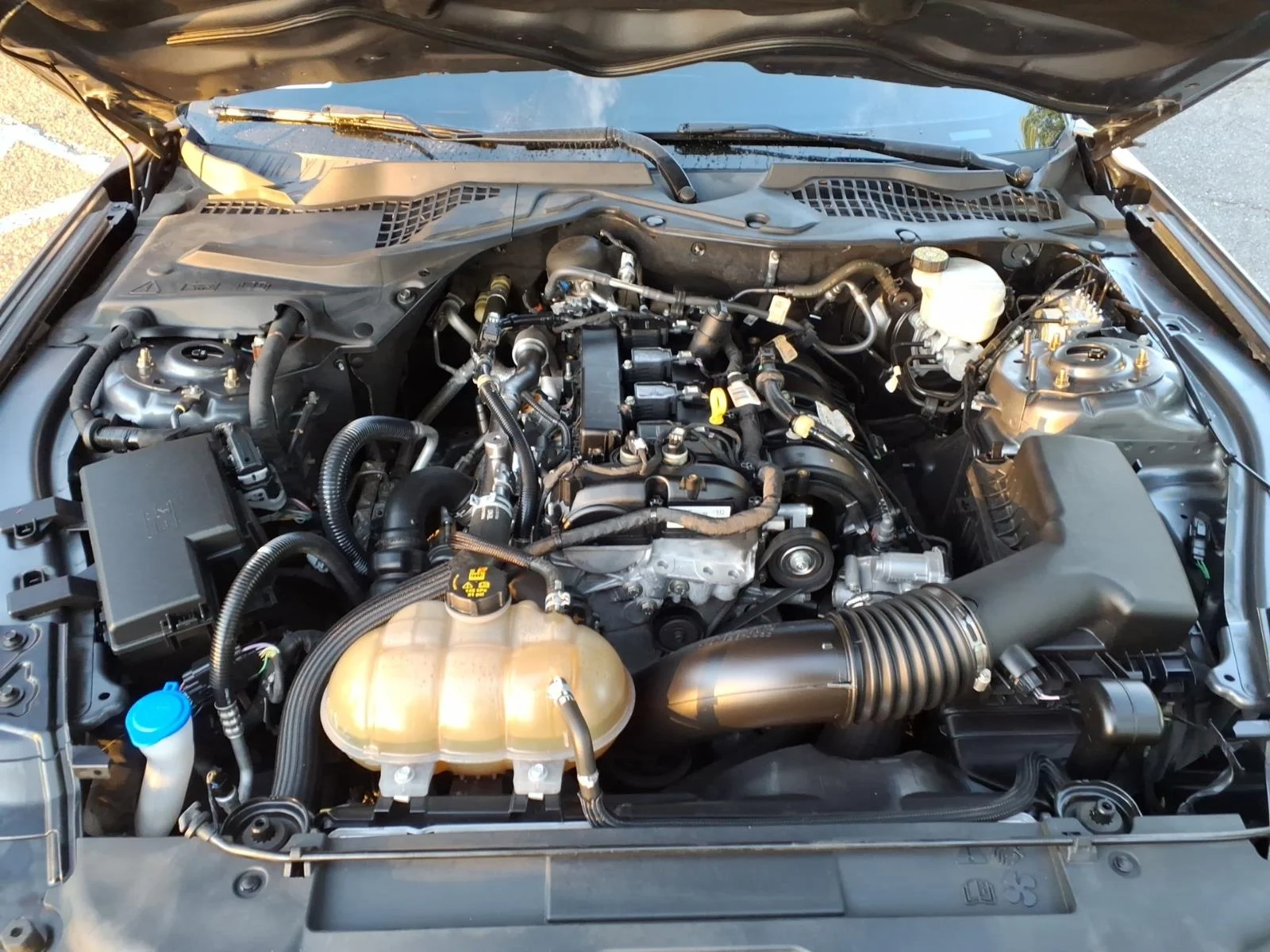 Used 2021 Carbonized Grey Ford EcoBoost Premium image 7