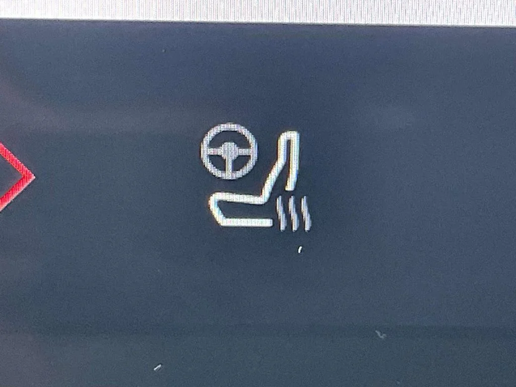 New 2026 Blue Ford ST image 20