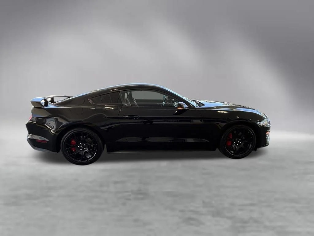 Used 2019 Shadow Black Ford EcoBoost Premium image 3