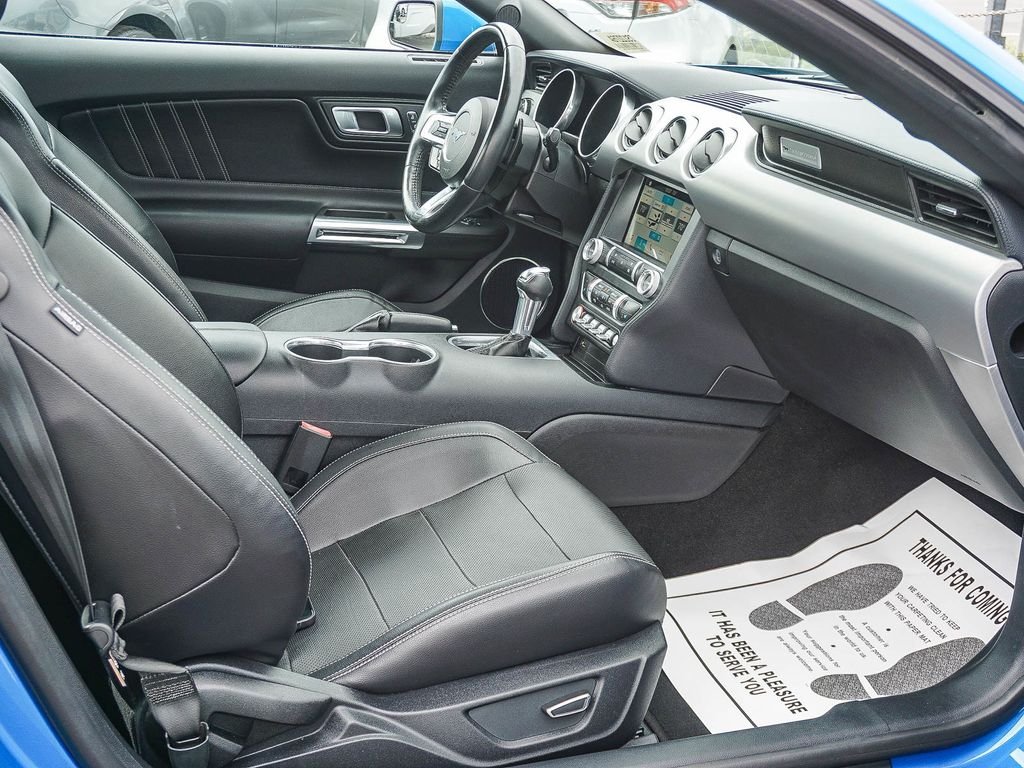 Used 2019 Blue Ford EcoBoost Premium image 12