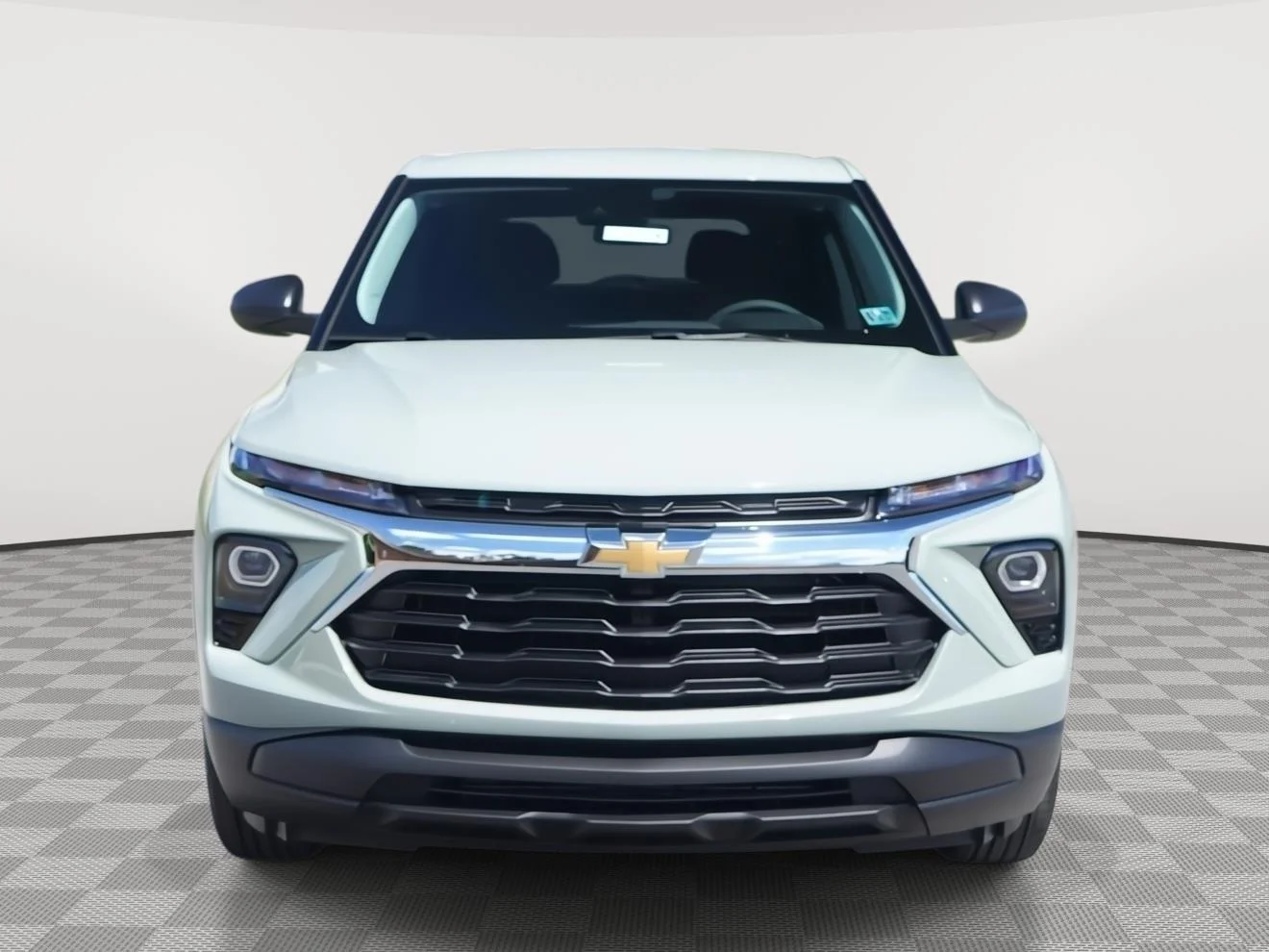 New 2026 Cacti Green Chevrolet LS image 9