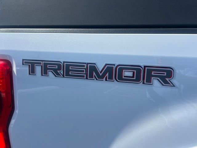 Used 2022 White Ford Platinum image 11