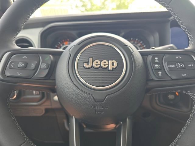 New 2026 Black Clear-Coat Exterior Paint Jeep Willys image 29