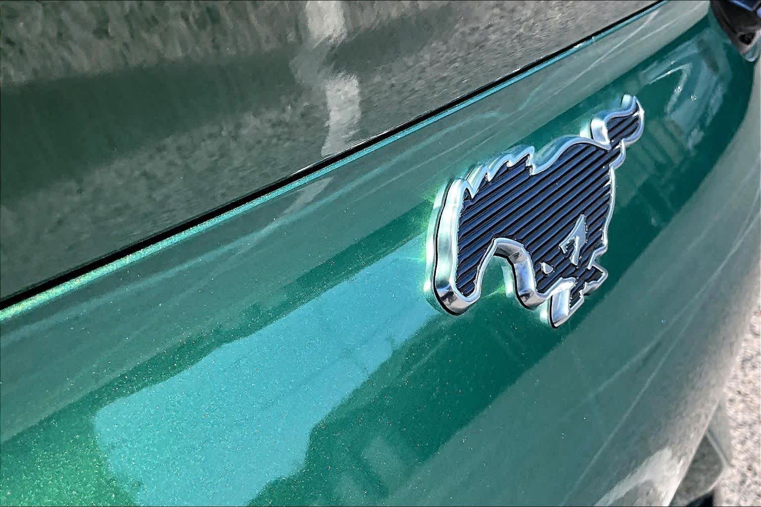 Used 2024 Eruption Green Ford Premium image 30
