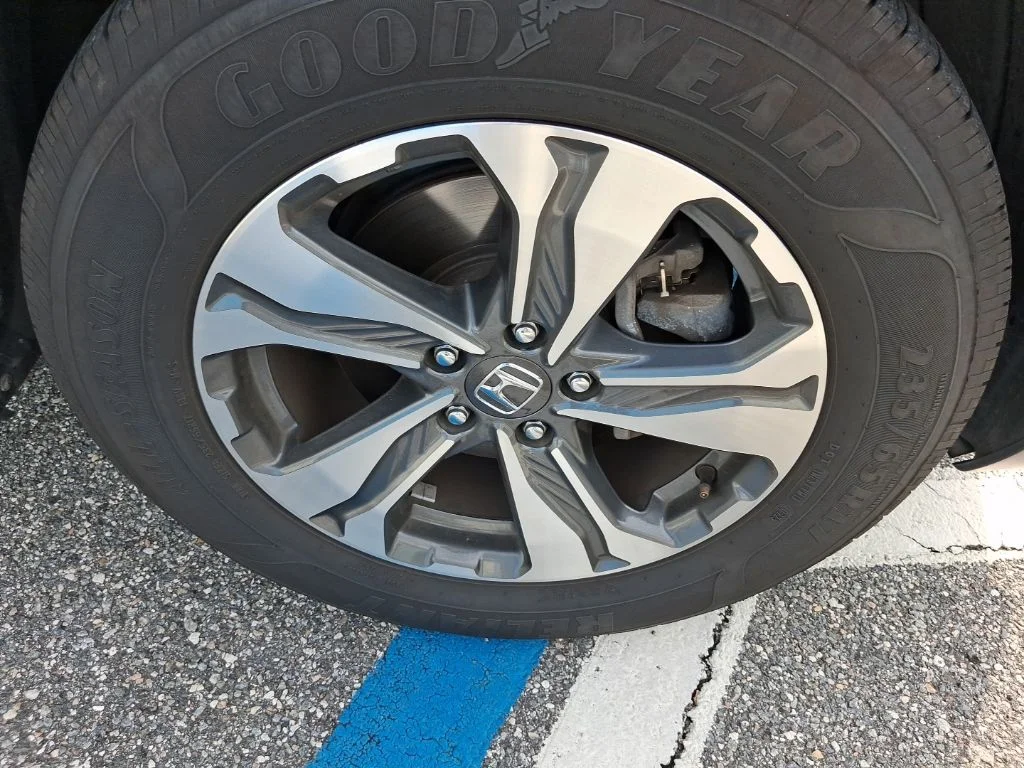 Used 2019 White Honda LX image 13