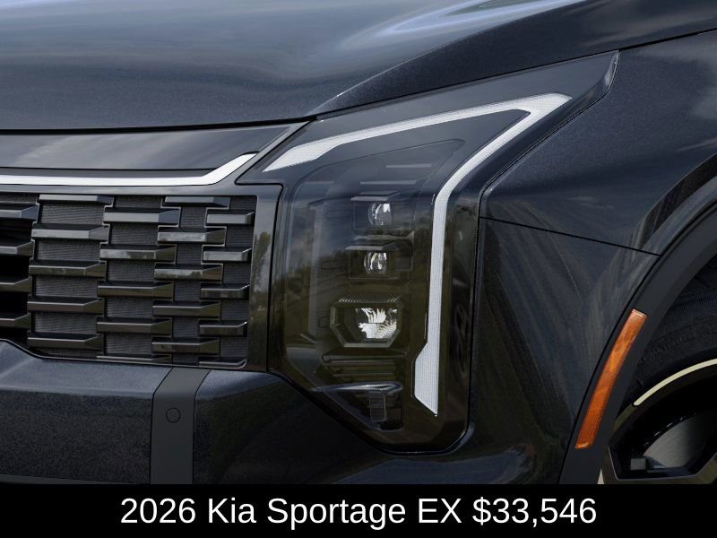 New 2026 Panthera Metal Kia EX image 11