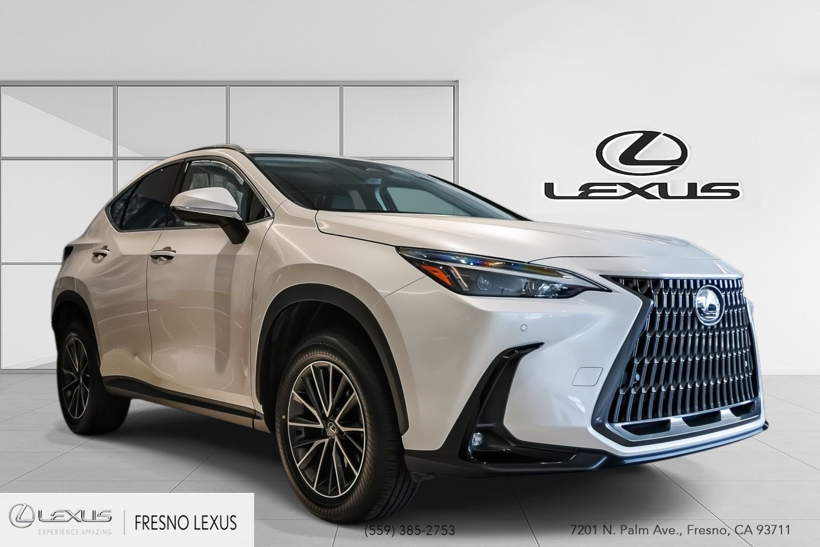 2024 Lexus NX 350h 350h Premium AWD's photo