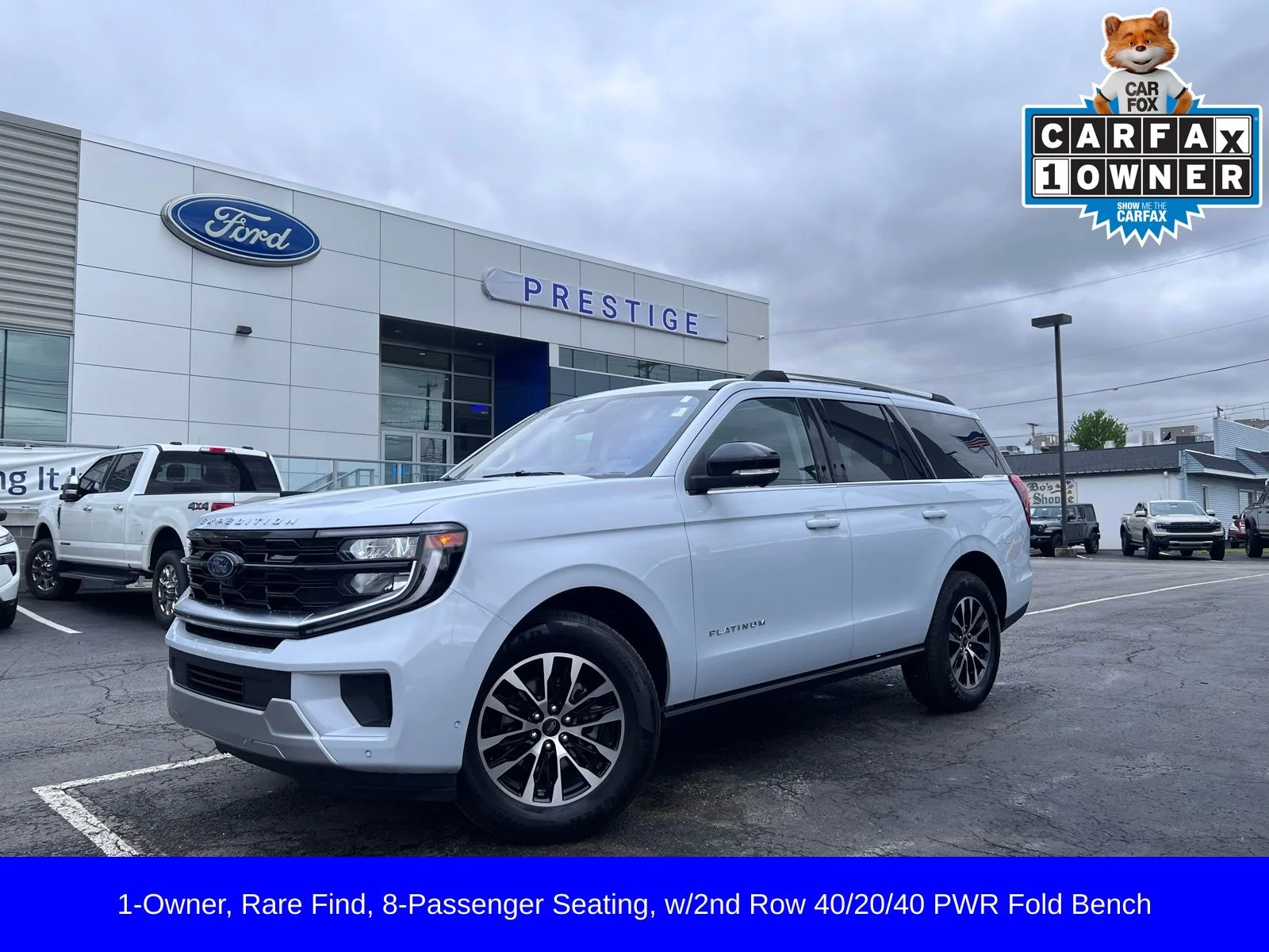 2025 Ford Expedition Platinum 4x4's photo