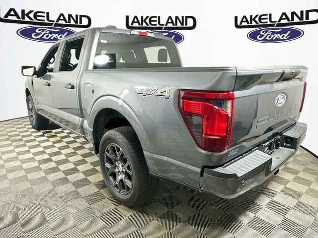New 2026 Gray Ford STX image 5