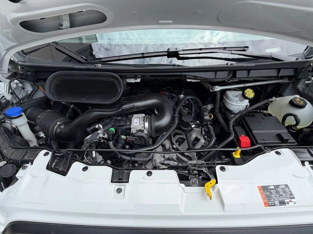 Used 2025 White Ford Base image 7