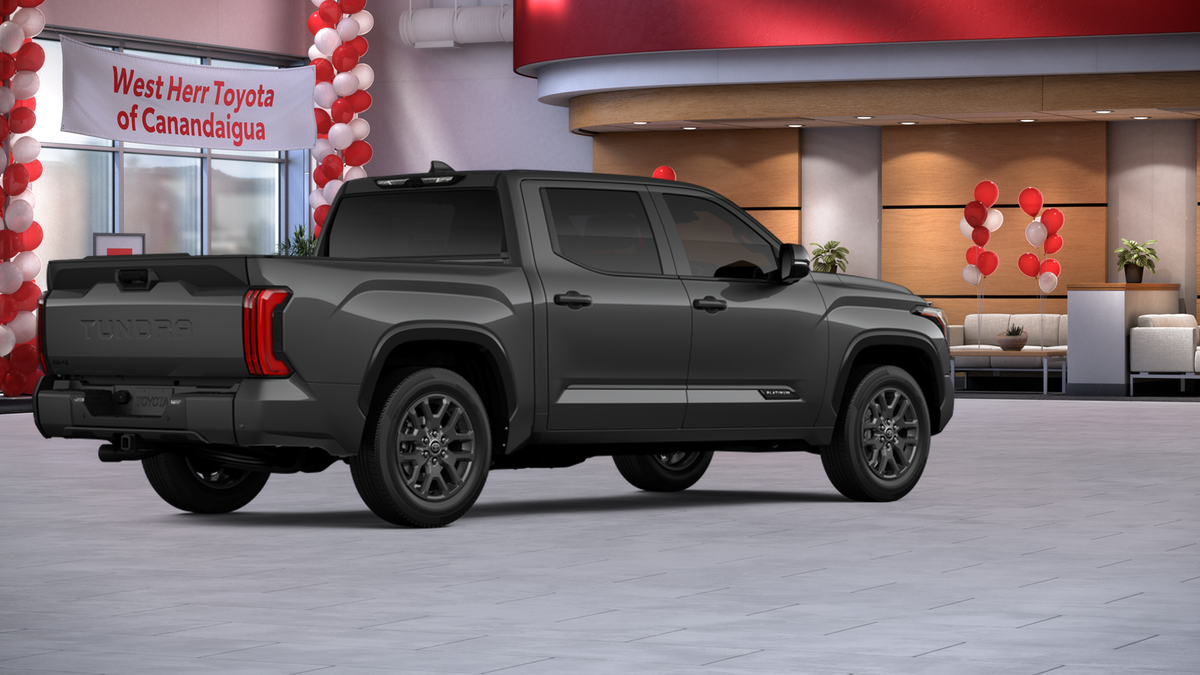 New 2026 Magnetic Gray Metallic Toyota Platinum image 23