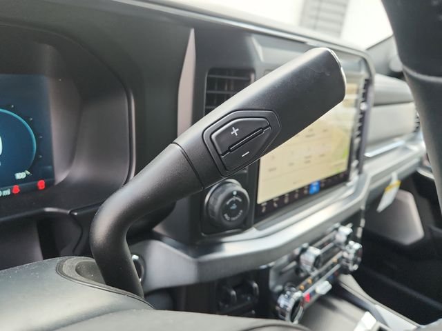 2025 Ford F-250 Super Duty Platinum - Photo 18