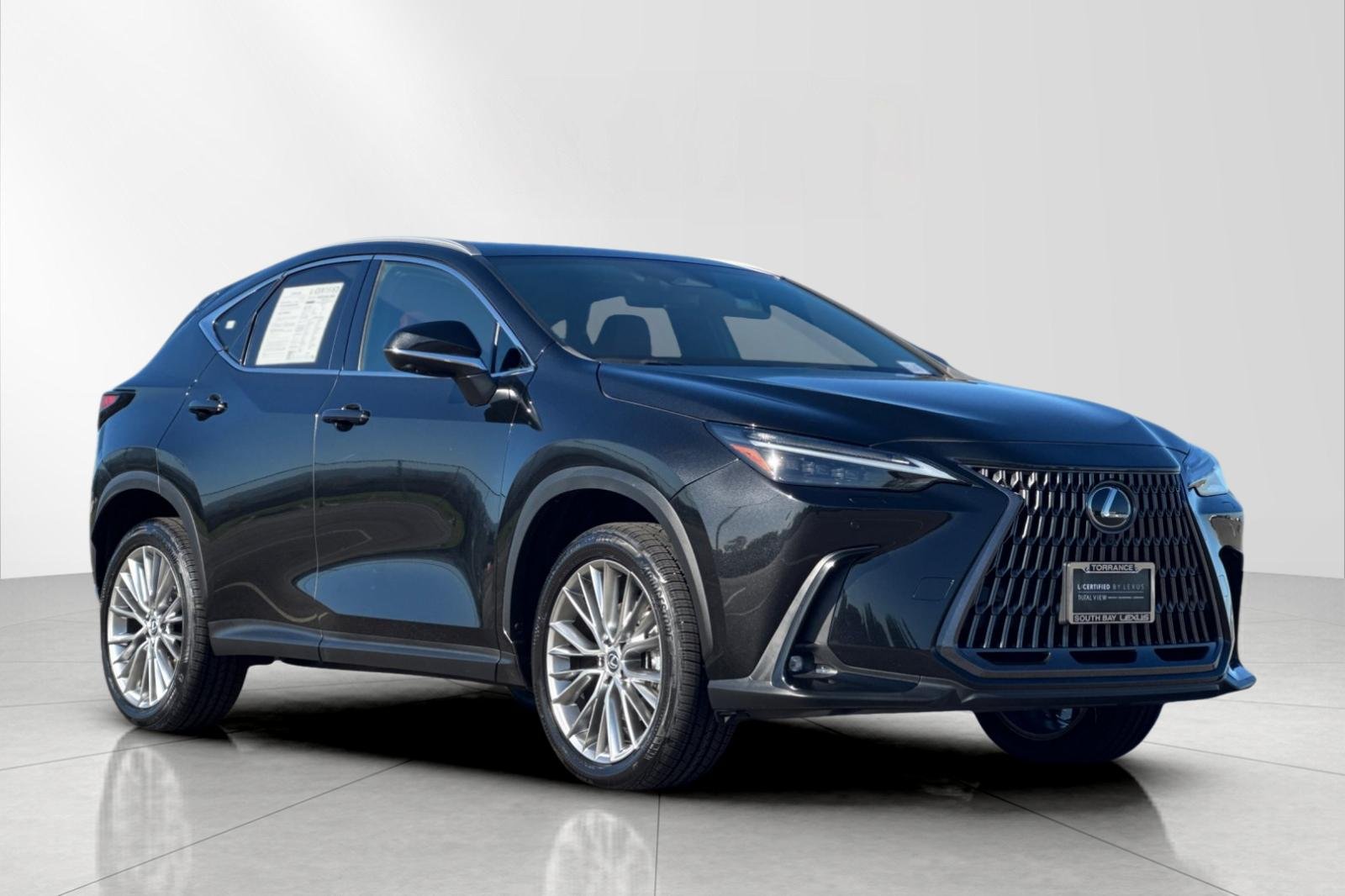 2024 Lexus NX 350 - Photo 8