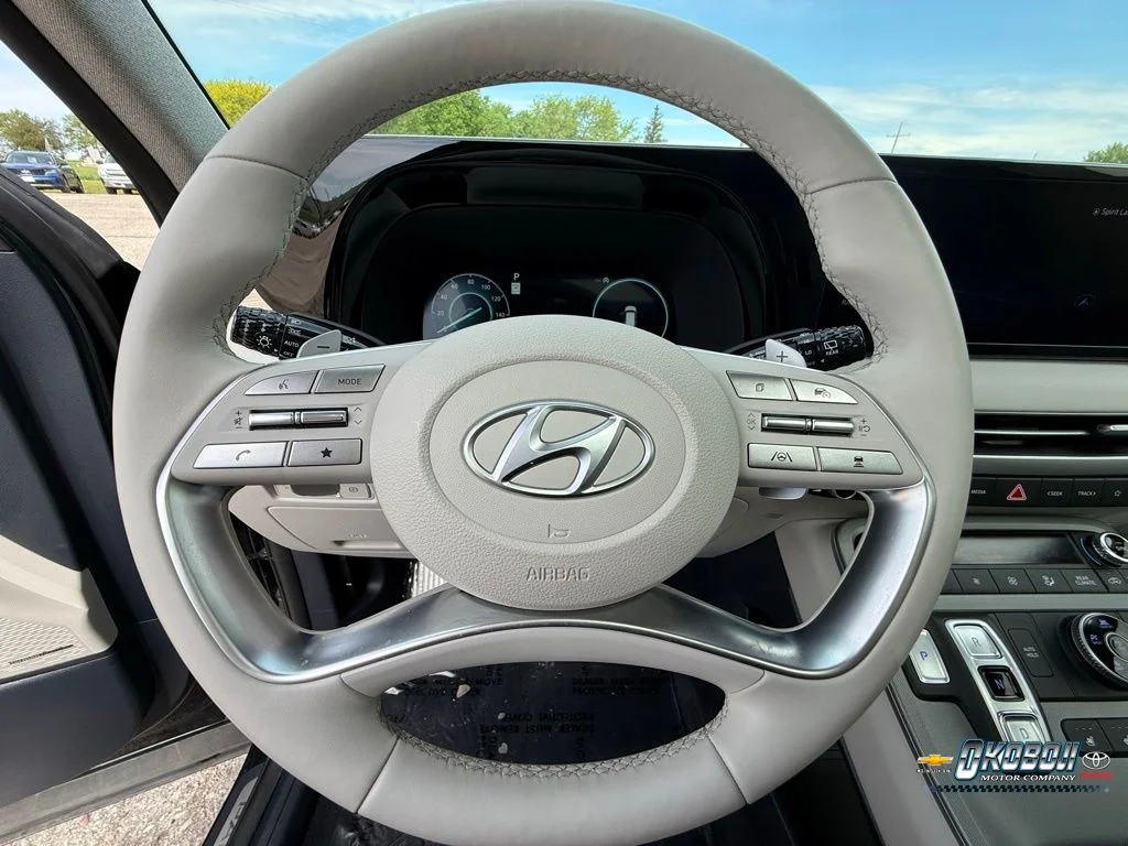2023 Hyundai Palisade Limited - Photo 8