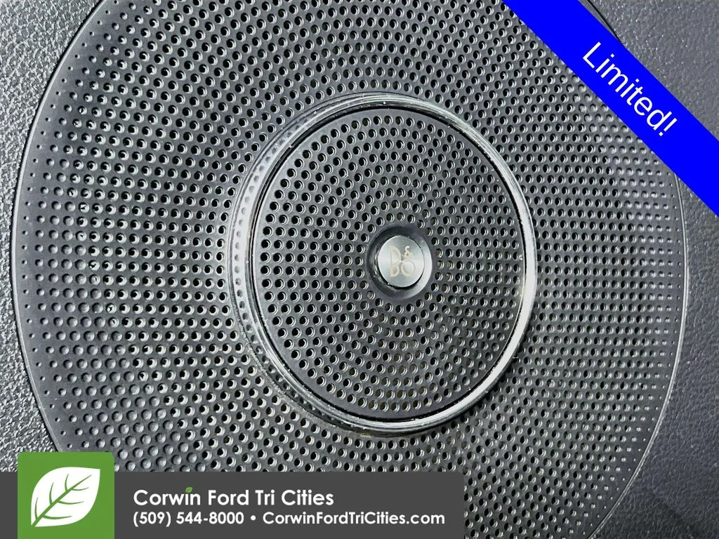 Used 2021 Magnetic Ford Limited image 13