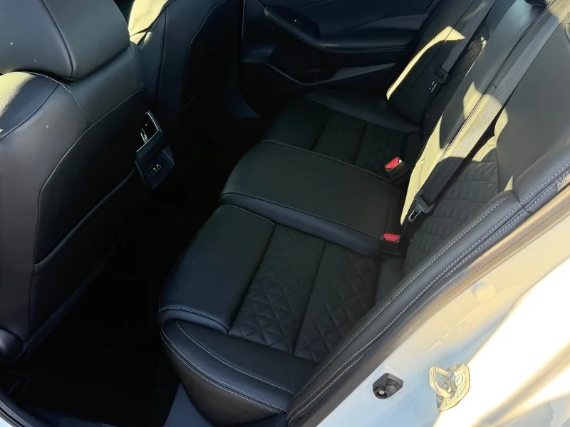 Used 2019 Pearl White Trico Nissan Platinum image 17