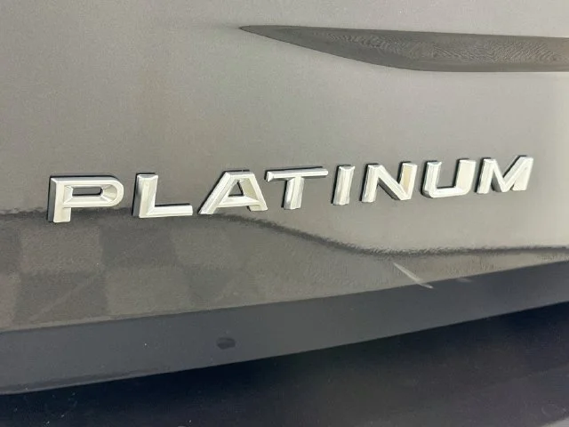 New 2027 Gray Ford Platinum image 28