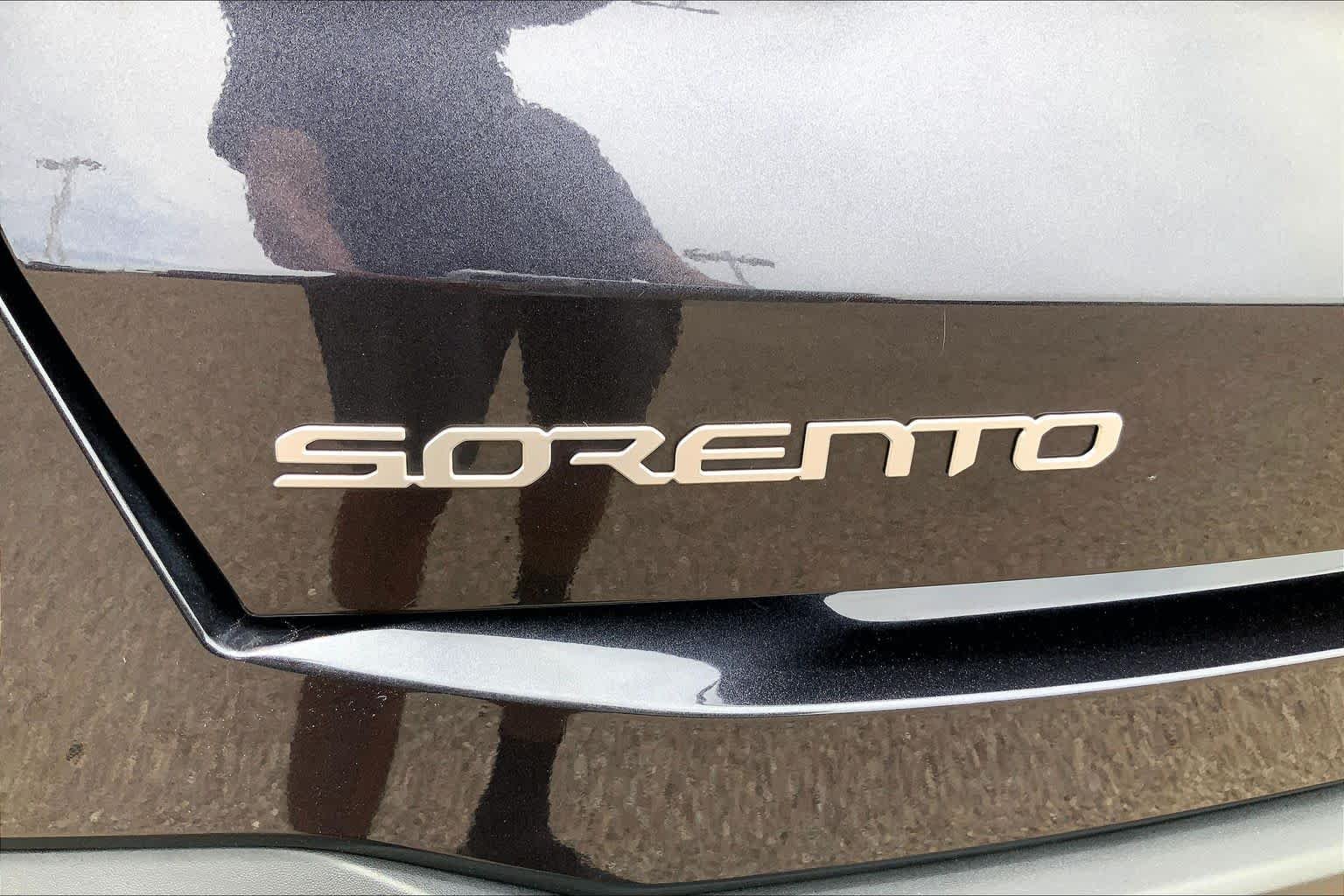 Used 2025 Panthera Metal Kia S image 33