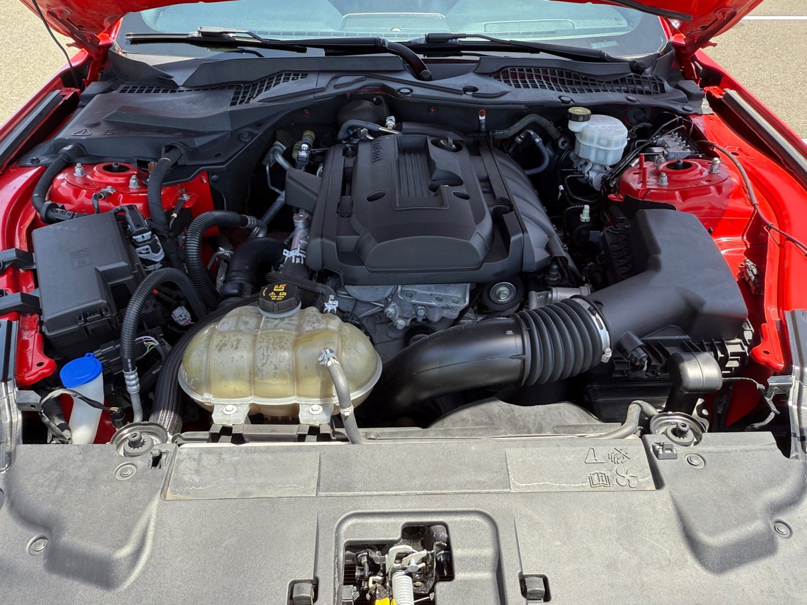 Used 2020 Race Red Ford EcoBoost Premium image 20