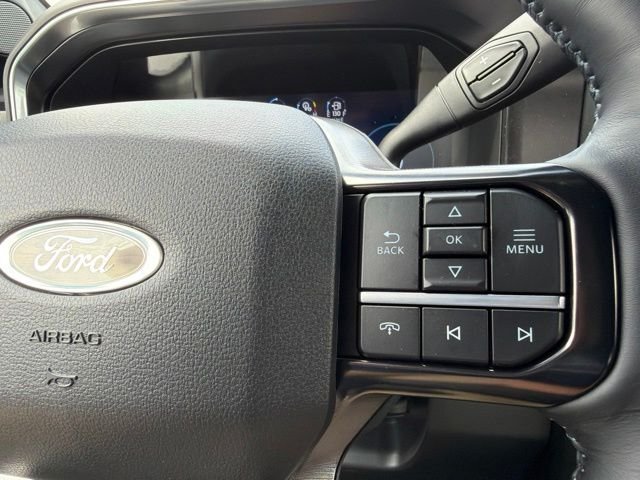 New 2026 Carbonized Gray Metallic Ford F-250® Platinum® image 22