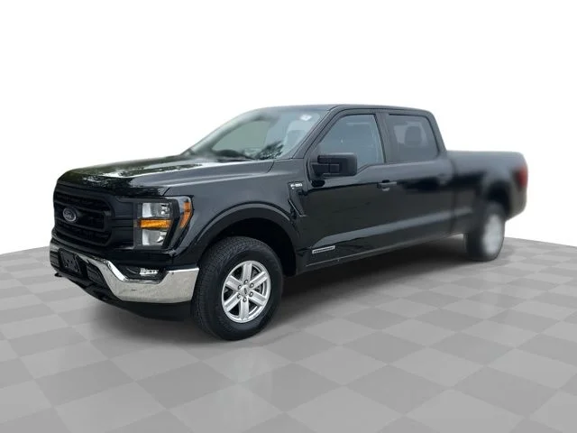 2023 Ford F-150's photo