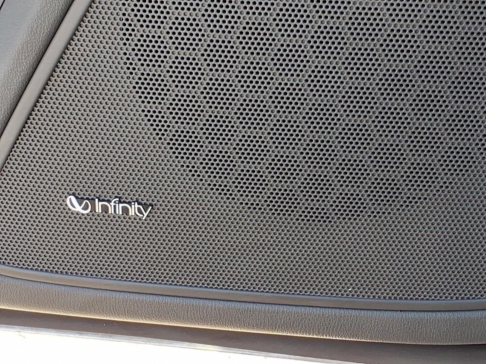 Used 2009 Bright Silver Hyundai Limited image 26
