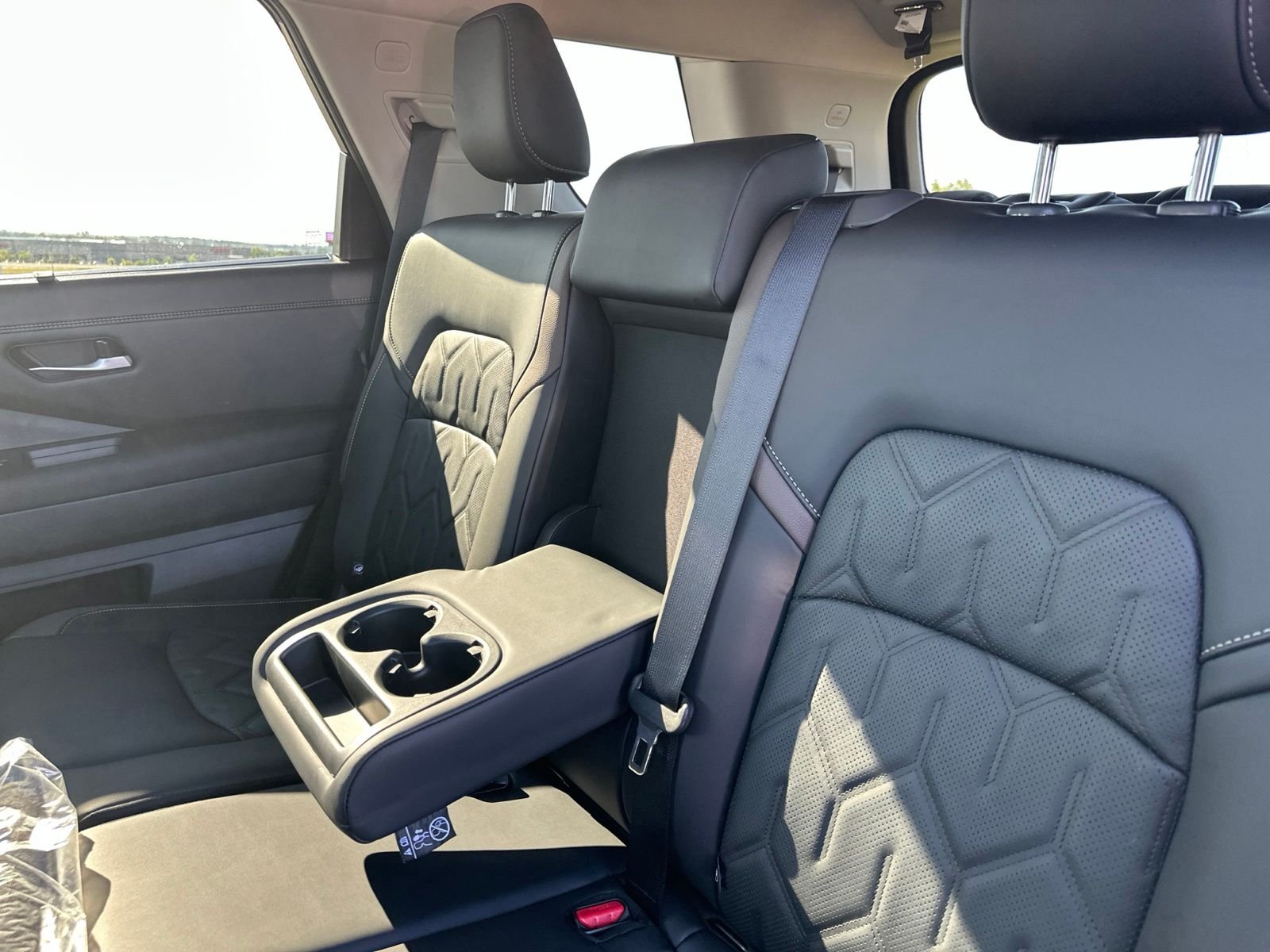 New 2026 Black Nissan Platinum image 19