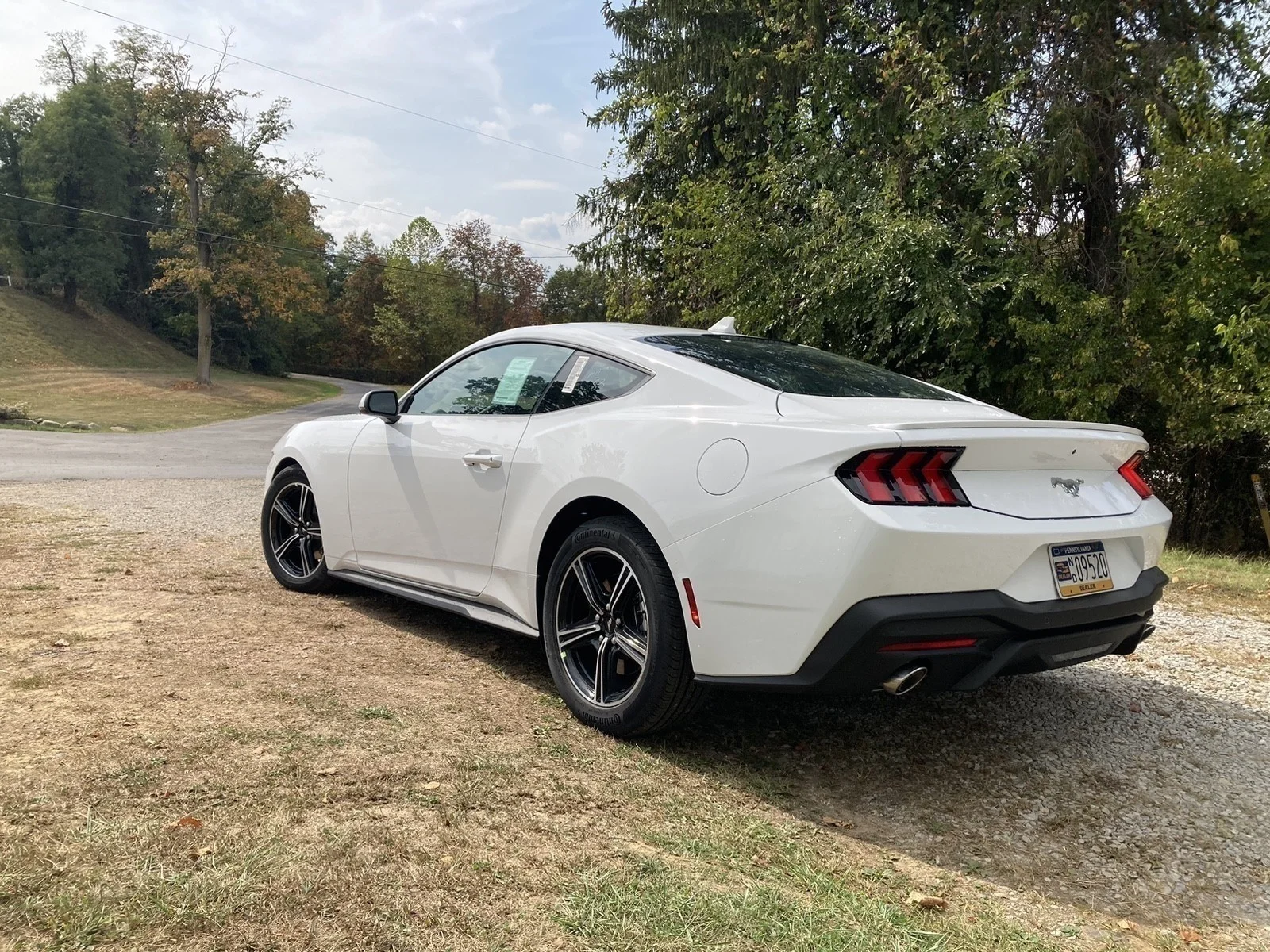 2025 Ford Mustang EcoBoost Premium Fastback - Photo 6