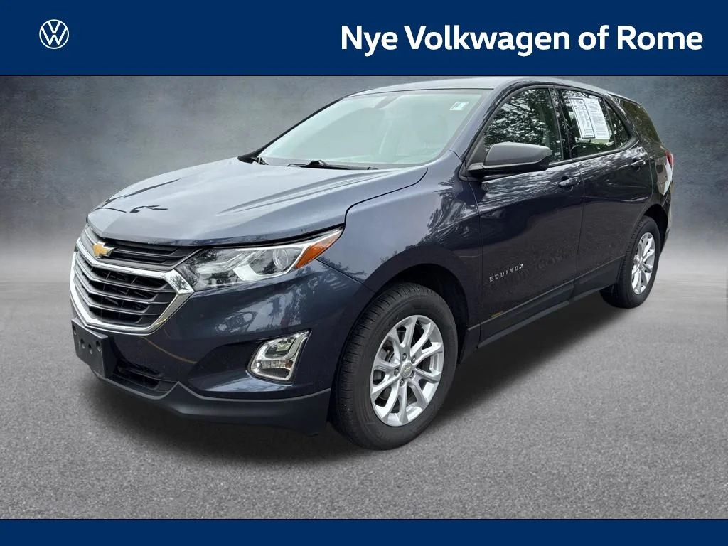 Used 2019 Blue Chevrolet LS image 1