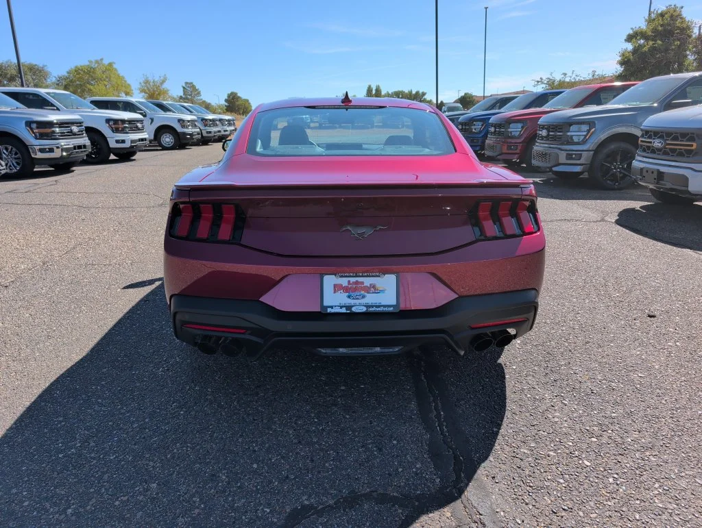 New 2026 Molten Magenta Metallic Tinted Clearcoat Ford EcoBoost® Fastback image 4