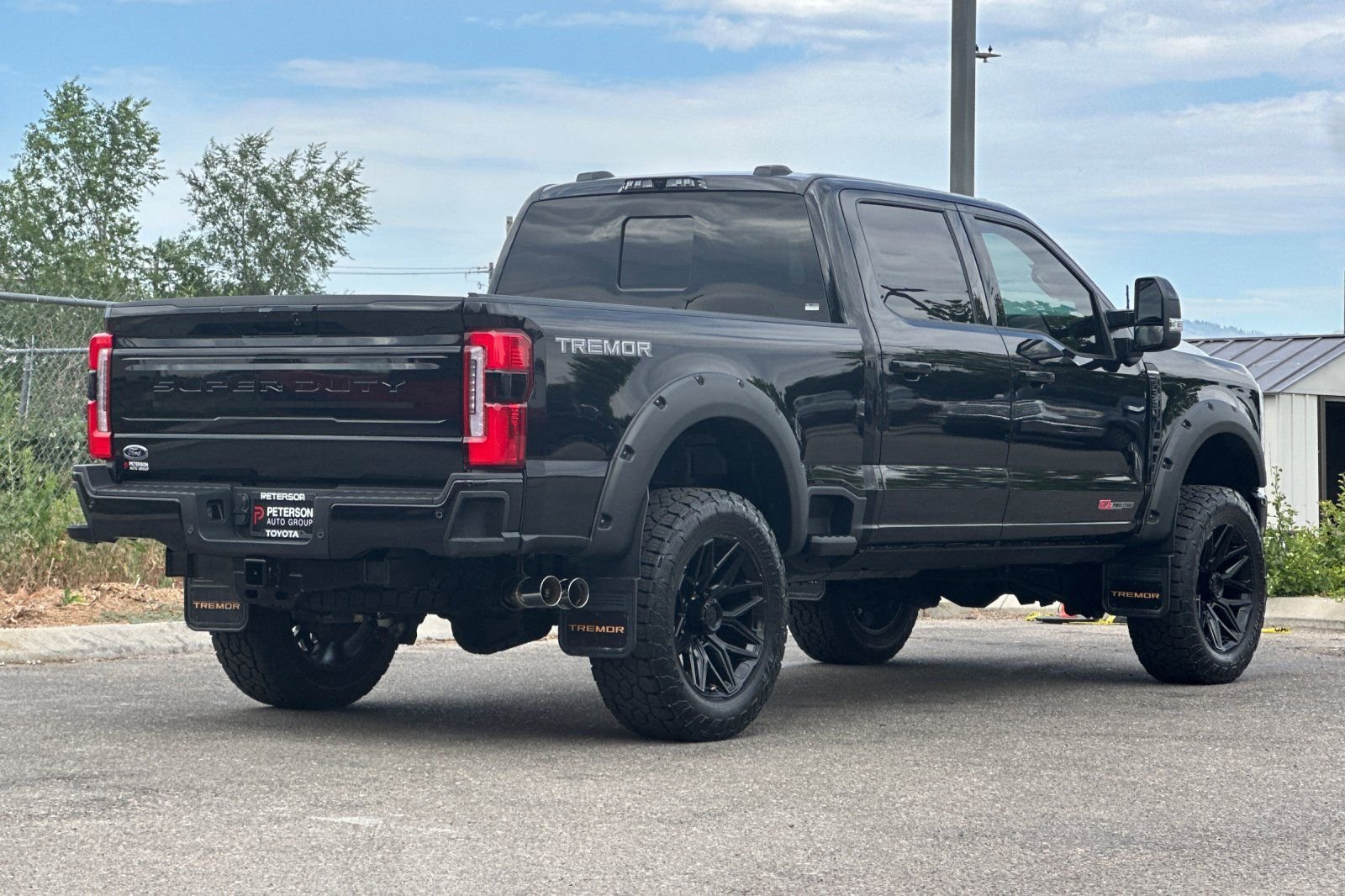 Used 2025  Ford Platinum image 3