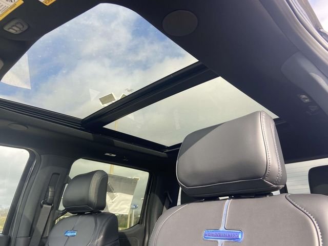 New 2026 Carbonized Gray Metallic Ford Platinum image 14