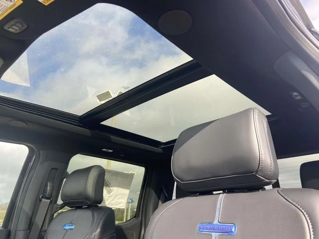 2026 Ford F-250 Super Duty Platinum - Photo 14