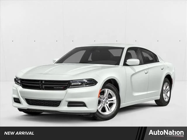 2021 Dodge Charger R/T's photo