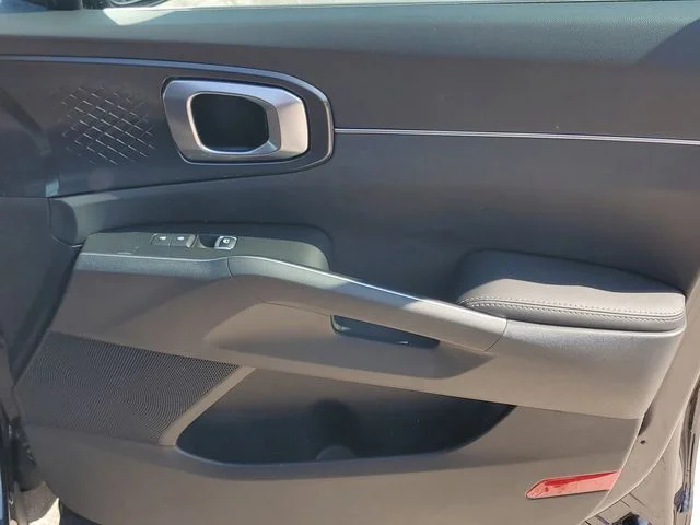 New 2026 Panthera Metal Kia LX image 33