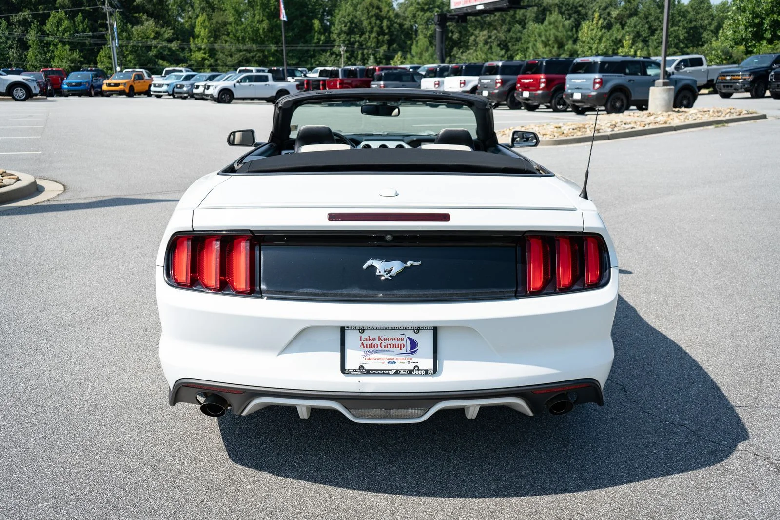 Used 2016 White Ford EcoBoost Premium image 8