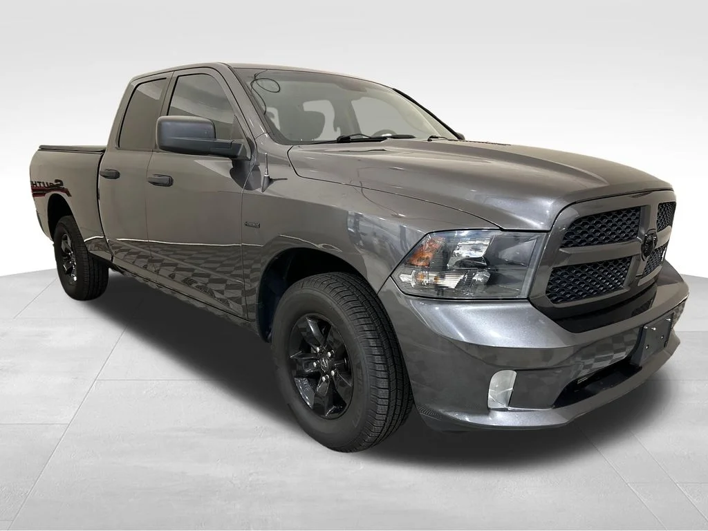 Used 2019 Gray Ram Express image 9
