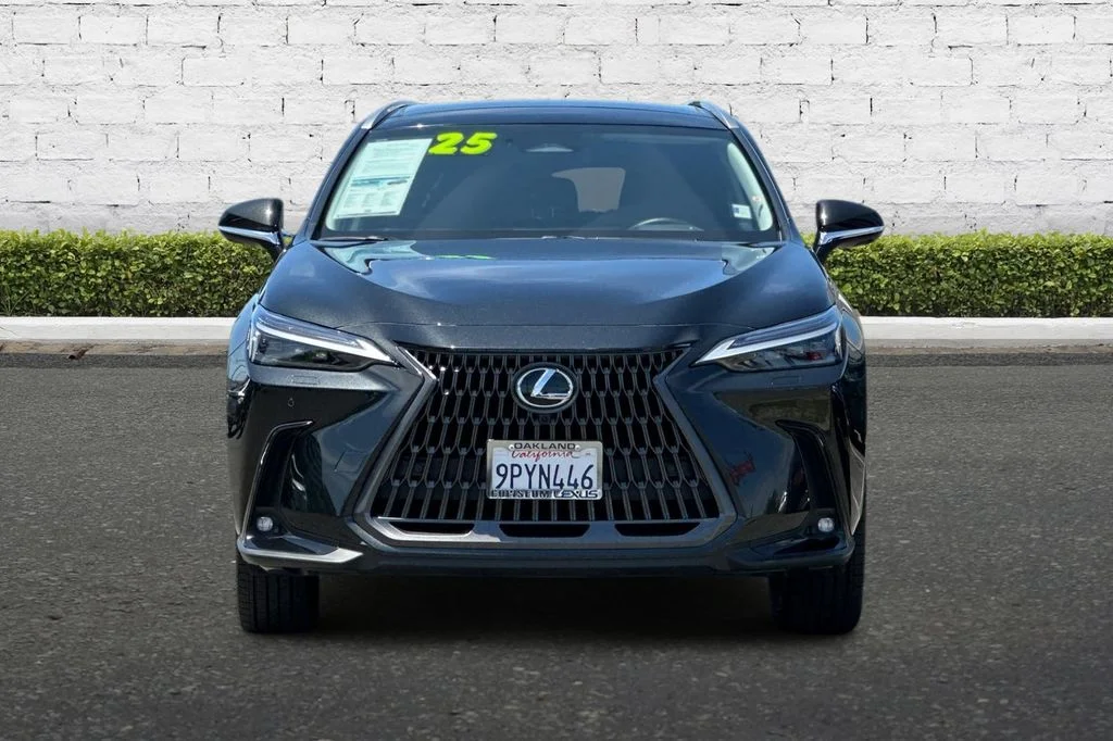 2025 Lexus NX Hybrid 350h - Photo 9
