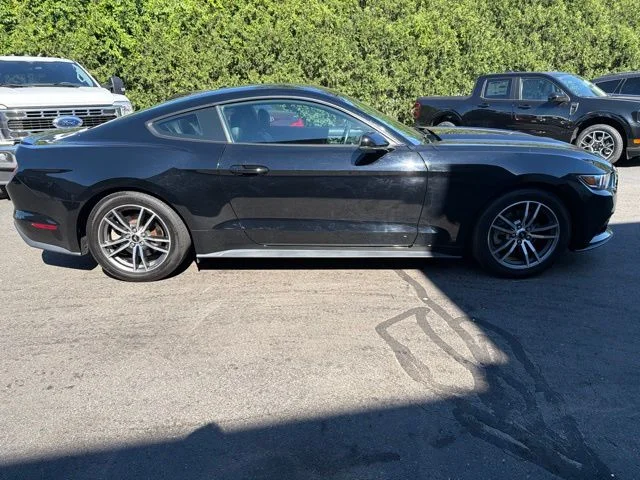 Used 2017 Black Ford EcoBoost Premium image 8