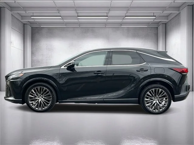 2023 Lexus RX 350 - Photo 6