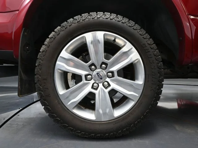 Used 2019 Red Ford Platinum image 15