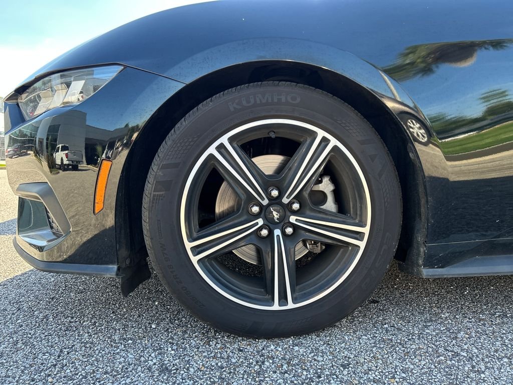 Used 2024 Black Ford EcoBoost Premium image 7